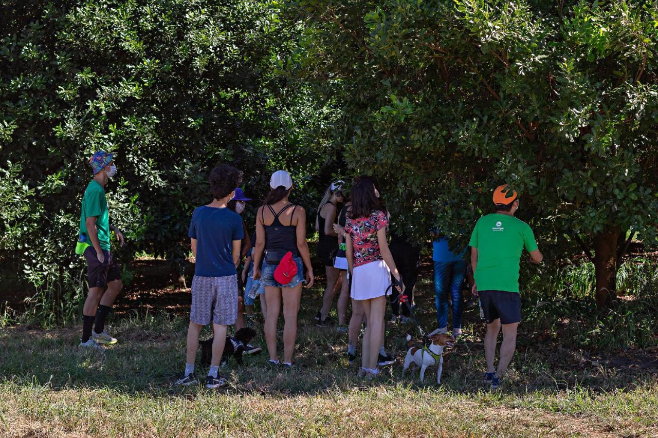 Ribeirão Bonito Santa Eliza Eco Resort מראה חיצוני תמונה