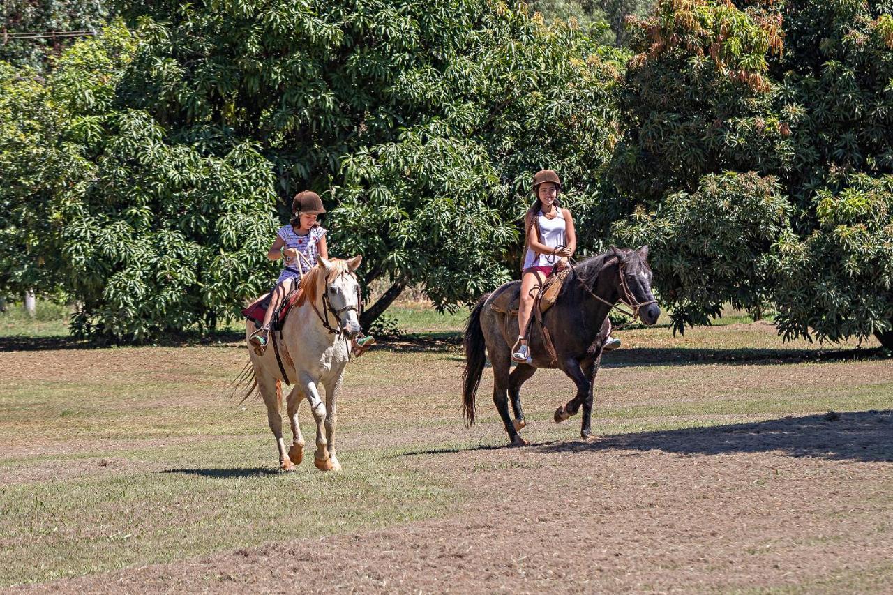 Ribeirão Bonito Santa Eliza Eco Resort מראה חיצוני תמונה